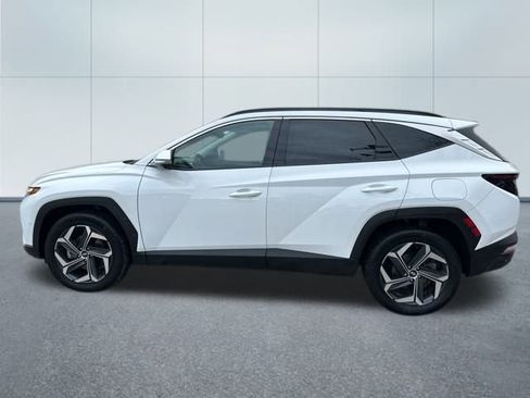 Used 2024 Hyundai Tucson Limited image 10