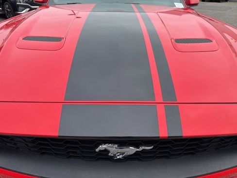 Used 2022 Ford Mustang Premium w/ Equipment Group 201A image 5