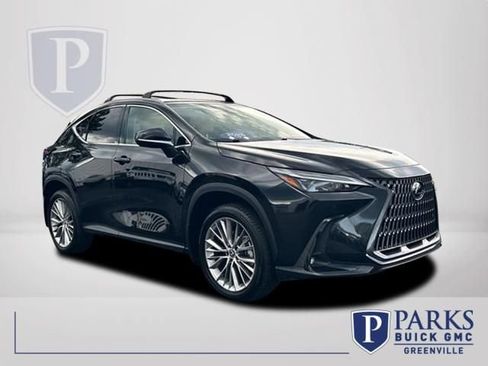 Used 2025 Lexus NX 350 AWD w/ Cold Area Package image 1