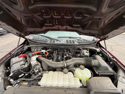 Used 2025 Ford F150 XLT w/ Equipment Group 301A Standard AWD/4WD image 31