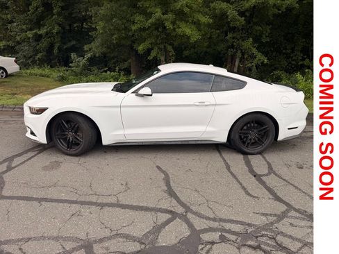Used 2016 Ford Mustang Premium RWD image 5