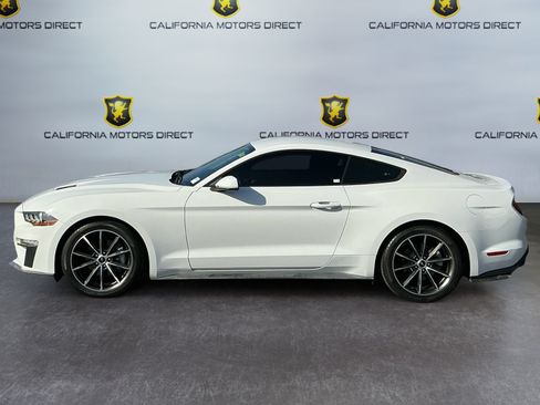 Used 2019 Ford Mustang Coupe w/ Wheel & Stripe Package RWD image 2