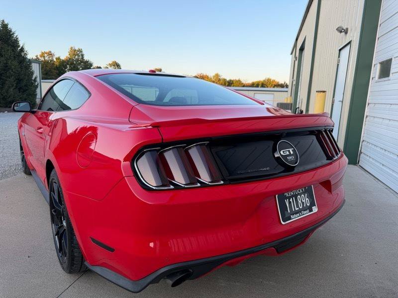Used 2015 Ford Mustang GT Premium w/ 50 Years Appearance Package RWD image 6