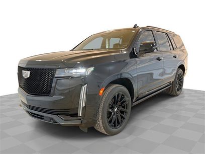 Certified 2023 Cadillac Escalade Sport Platinum w/ LPO, ONYX Package