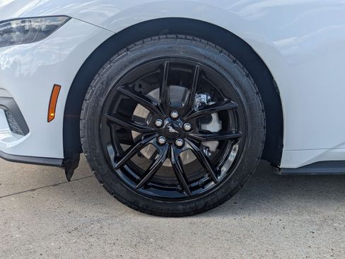 Used 2025 Ford Mustang Coupe w/ Mustang Nite Pony Package image 12