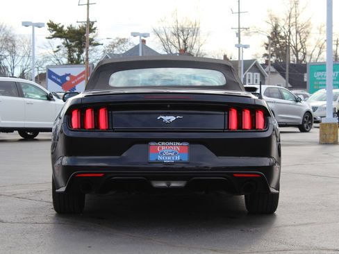 Used 2017 Ford Mustang Premium image 6
