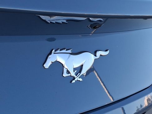 New 2025 Ford Mustang Coupe image 19