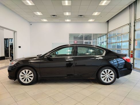 Used 2014 Honda Accord EX-L image 7