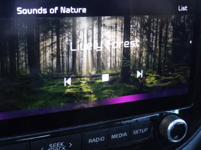 Used 2023 Kia Soul GT-Line w/ GT-Line Technology Package FWD image 30