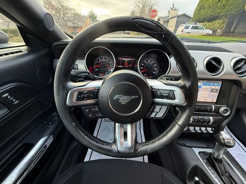 Used 2019 Ford Mustang GT w/ Equipment Group 301A image 14