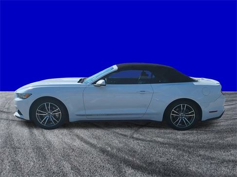 Used 2017 Ford Mustang Premium image 7