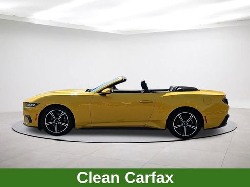 Used 2024 Ford Mustang Convertible image 4
