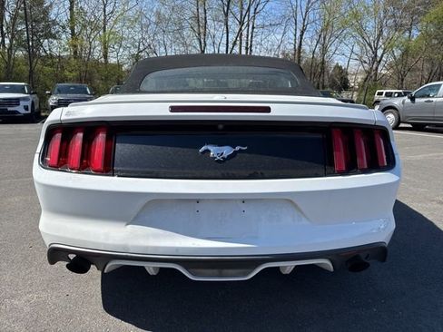 Used 2017 Ford Mustang Premium image 4