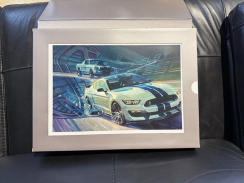 Used 2017 Ford Mustang Shelby GT350R w/ GT350R Equipment Group 920A RWD image 38