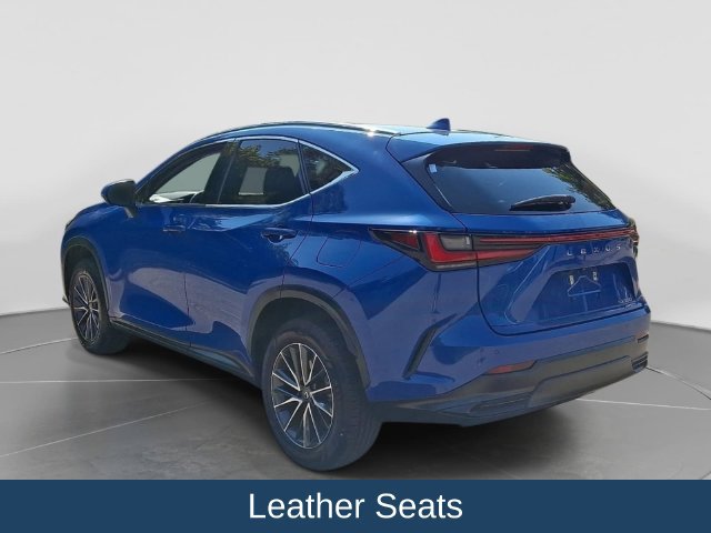 Used 2024 Lexus NX 350 AWD w/ Cold Area Package image 5