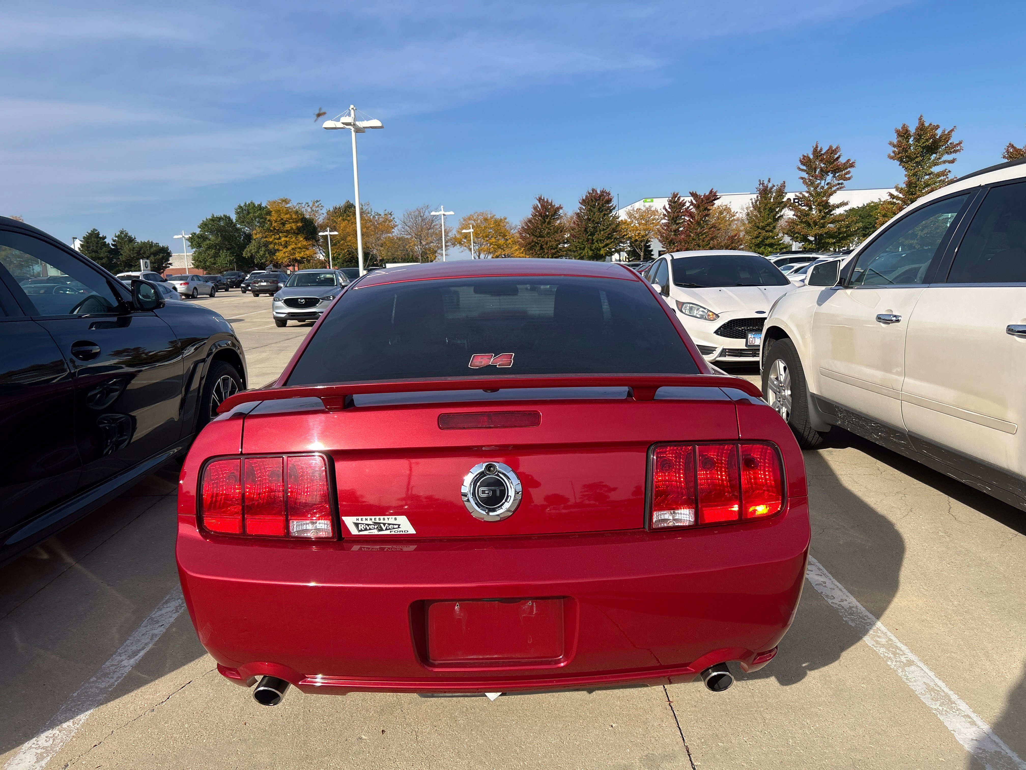 Used 2009 Ford Mustang GT RWD image 5