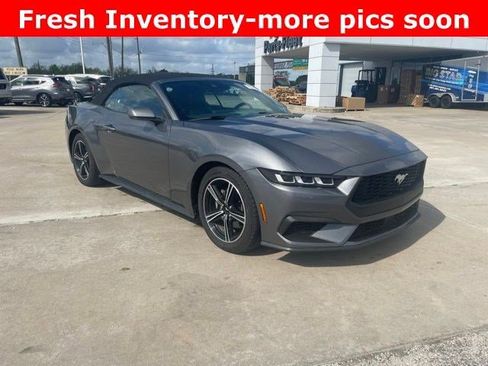 Used 2024 Ford Mustang Premium image 2
