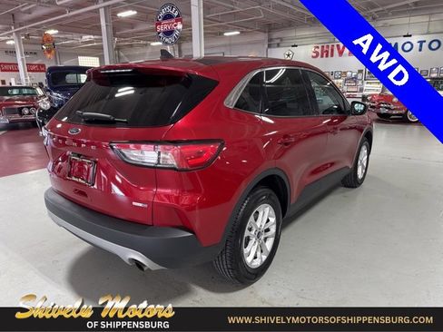 Used 2020 Ford Escape SE image 5