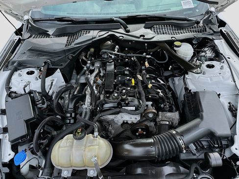 Used 2022 Ford Mustang Convertible w/ Equipment Group 101A image 32