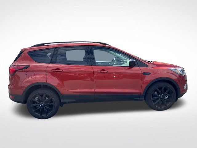 Used 2019 Ford Escape SE AWD/4WD image 6