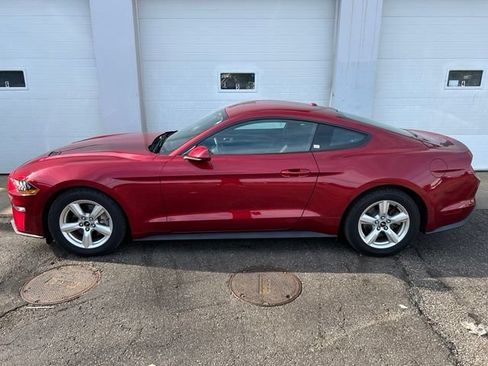 Certified 2019 Ford Mustang Coupe RWD image 3