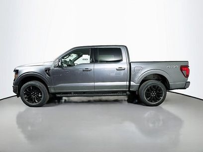 New 2026 Ford F150 XLT w/ Equipment Group 303A High