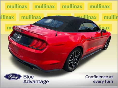 Used 2019 Ford Mustang Premium RWD image 2