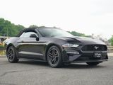 Used 2021 Ford Mustang Premium image 2