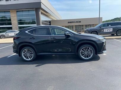 New 2026 Lexus NX 350 AWD w/ Cold Area Package
