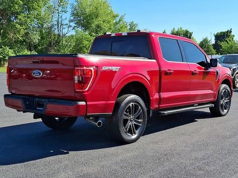Used 2021 Ford F150 XLT w/ Equipment Group 302A High AWD/4WD image 9