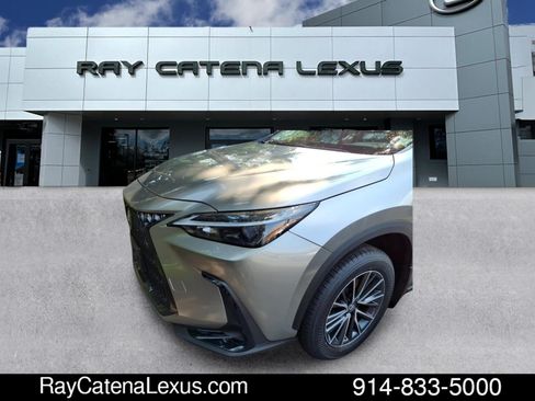 Certified 2024 Lexus NX 350 AWD w/ Cold Area Package image 7