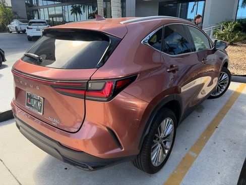 Used 2025 Lexus NX 350 AWD w/ Accessory Package (2T) image 6