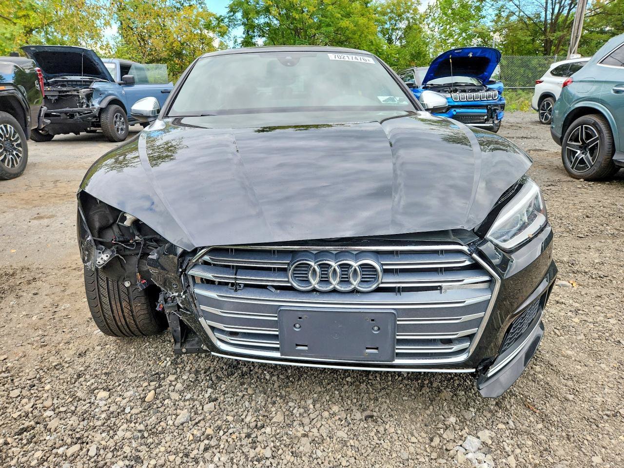 Used 2019 Audi S5 Premium Plus w/ Premium Plus AWD/4WD image 2