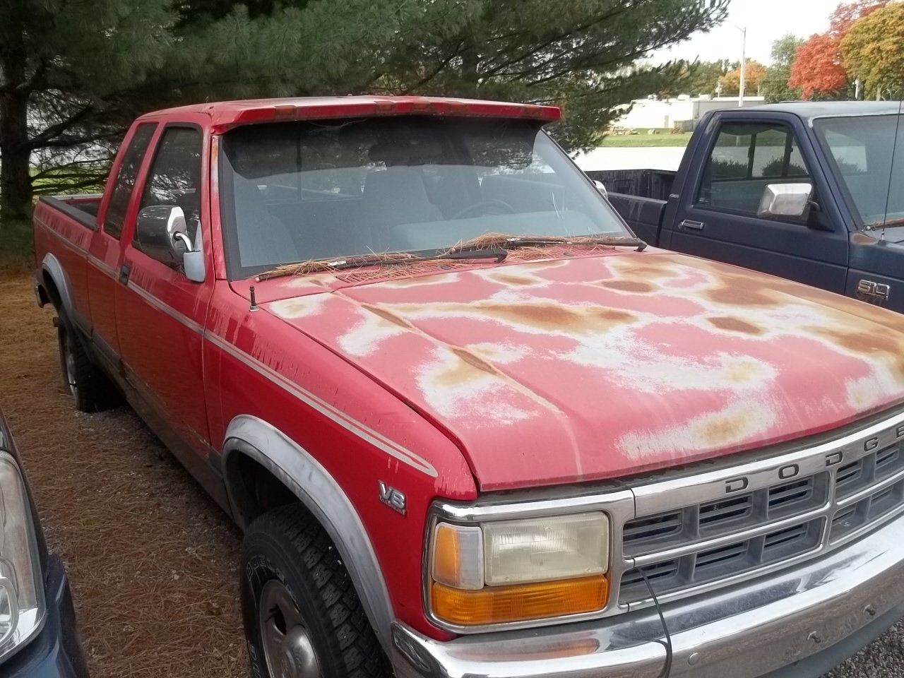 Used 1994 Dodge Dakota 4x4 Club Cab image 3