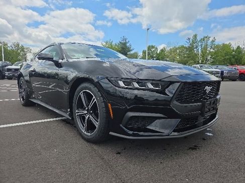 Used 2024 Ford Mustang Premium RWD image 1