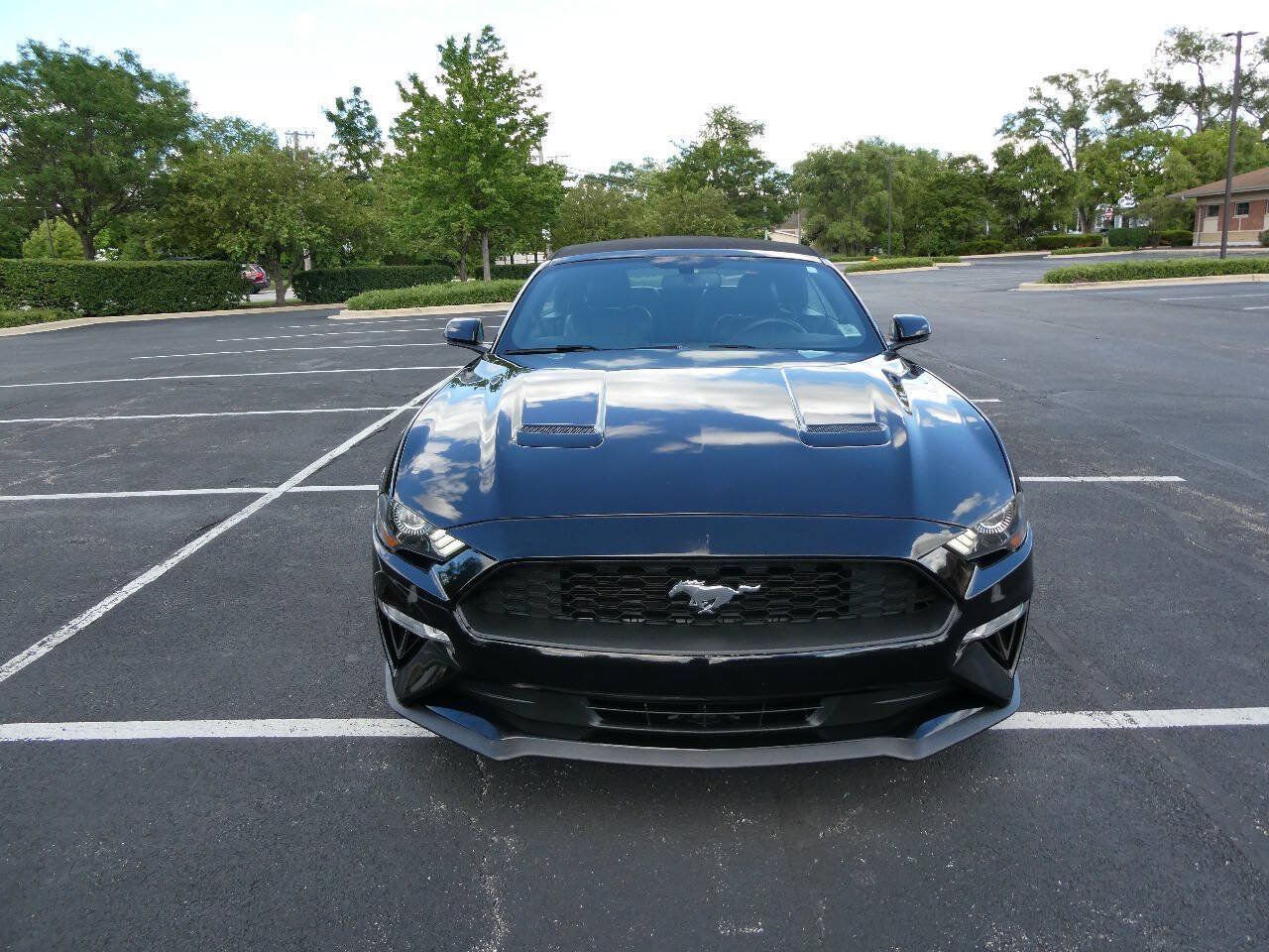 Used 2019 Ford Mustang Premium RWD image 2