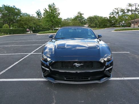Used 2019 Ford Mustang Premium RWD image 2