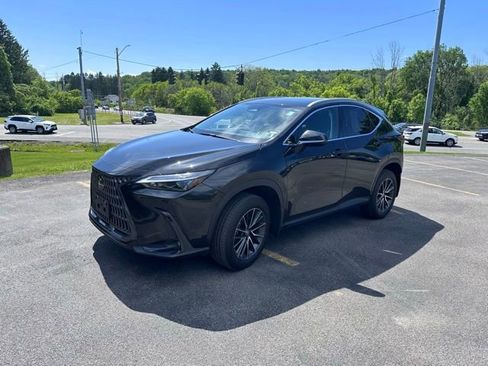 Used 2024 Lexus NX 350h AWD image 7