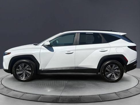 Used 2024 Hyundai Tucson Blue AWD/4WD image 2
