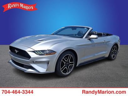 Used 2019 Ford Mustang Premium