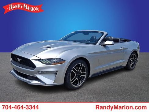 Used 2019 Ford Mustang Premium RWD image 1