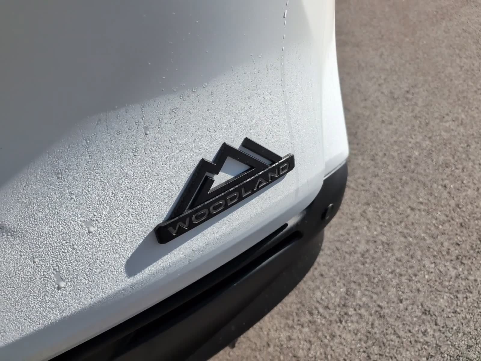 New 2026 Toyota Sienna XLE Woodland Edition AWD/4WD image 5