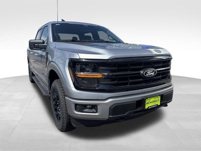 New 2026 Ford F150 XLT w/ XLT Black Appearance Package
