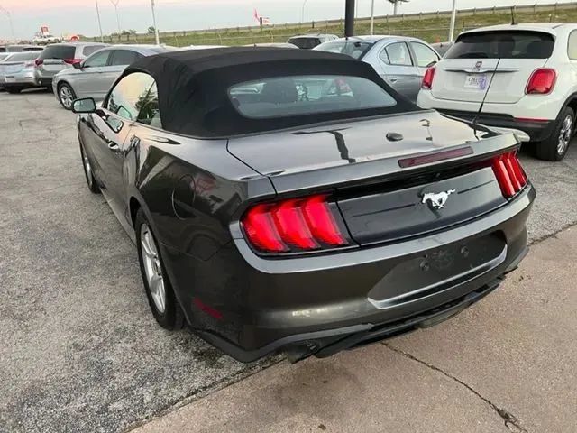 Used 2019 Ford Mustang Convertible RWD image 4