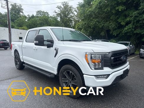 Used 2021 Ford F150 XLT w/ Equipment Group 302A High AWD/4WD image 1