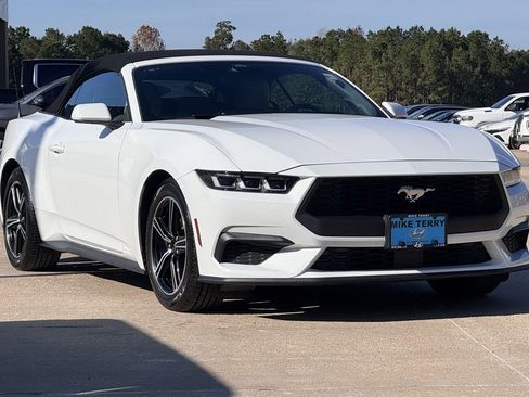 Used 2024 Ford Mustang Premium image 9