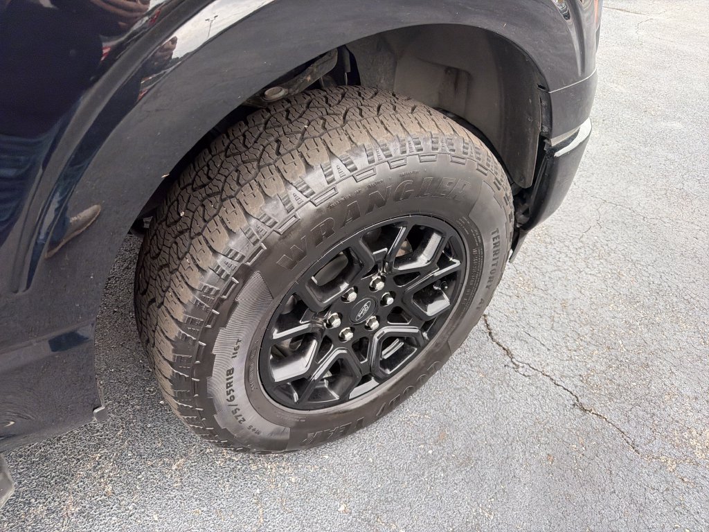 Used 2024 Ford F150 XLT w/ Equipment Group 302A MID AWD/4WD image 18