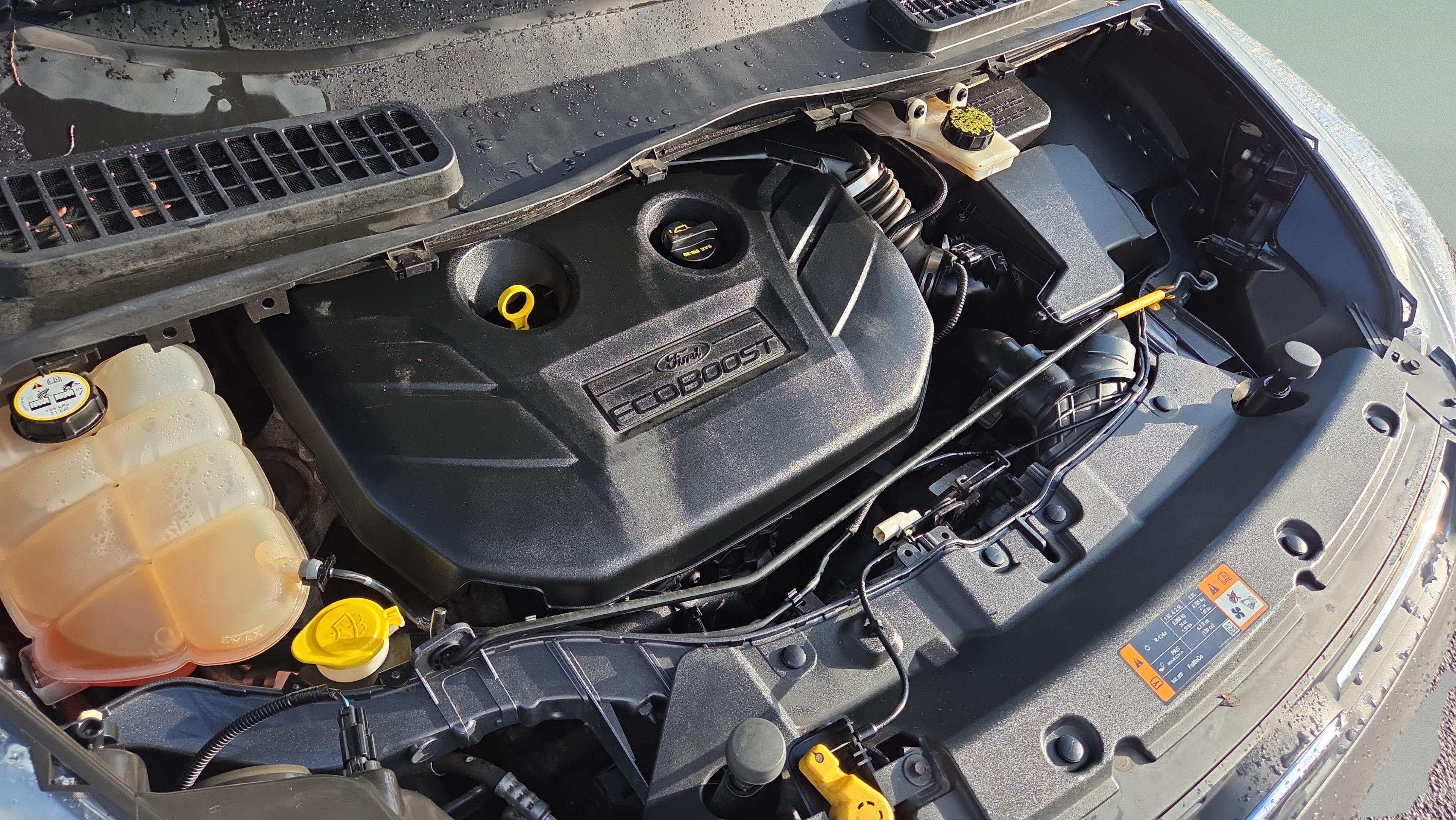Used 2013 Ford Escape SE AWD/4WD image 18