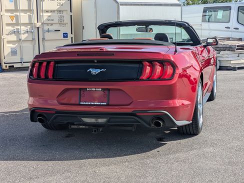 Used 2019 Ford Mustang Premium image 5