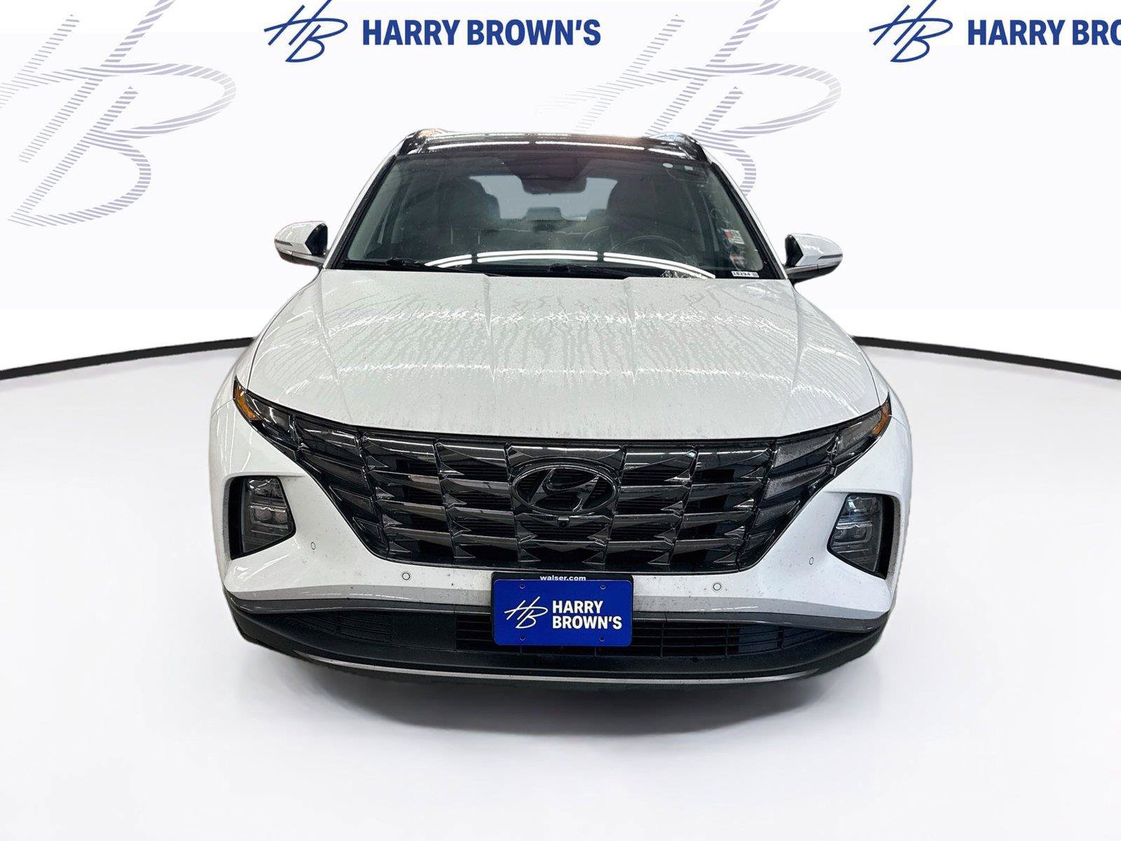 Used 2024 Hyundai Tucson Limited AWD/4WD image 6